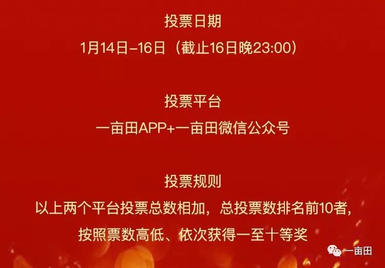 新奥天天彩正版免费全年资料,新奥天天彩正版免费全年资料，探索与解析