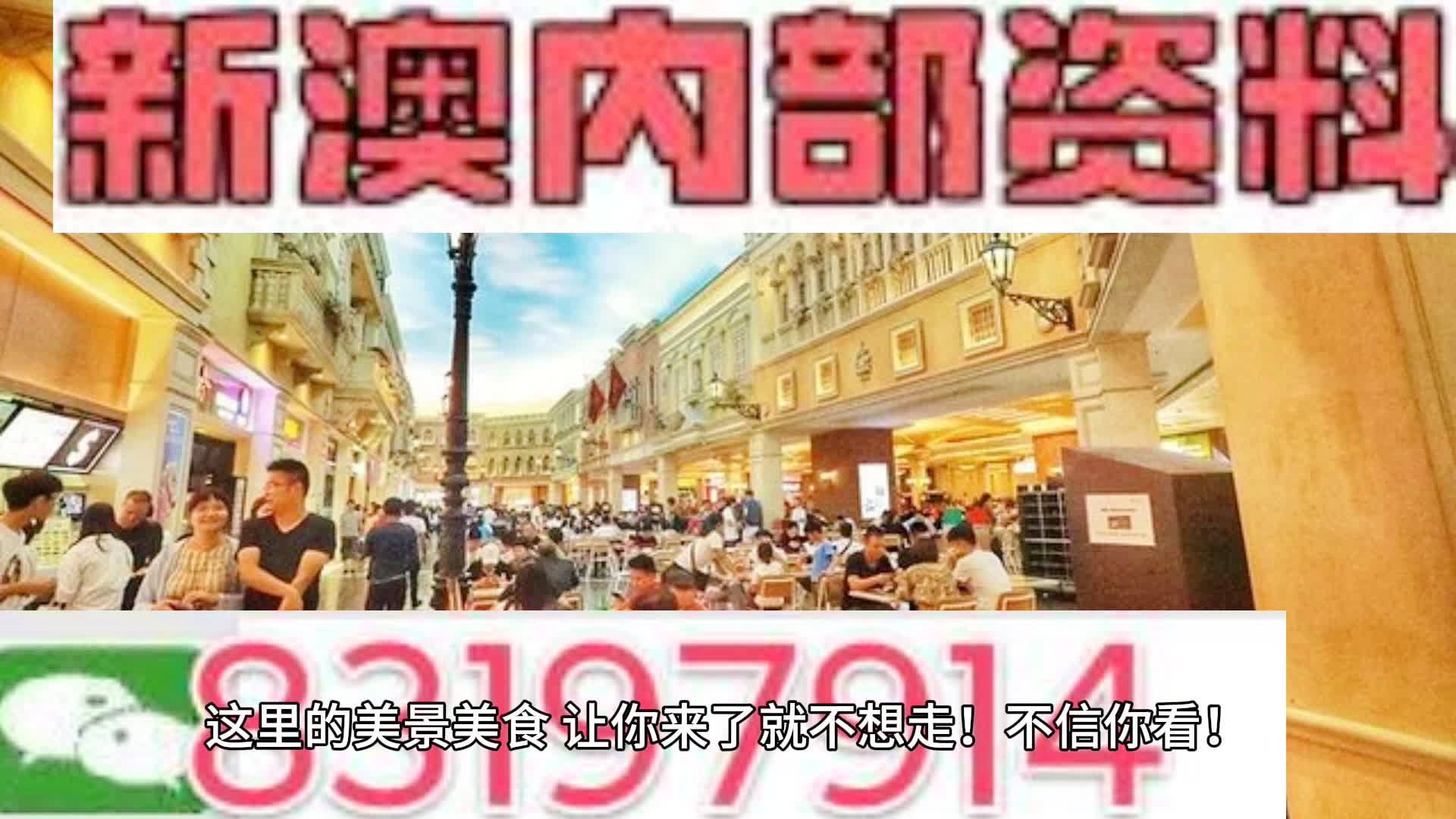 澳门内部王中王精准资料,澳门内部王中王精准资料，揭秘真相与深度解析